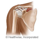 Shoulder joint